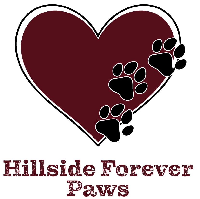 Hillside Forever Paws, Cavalier, French Bulldog Puppies, Breeds
