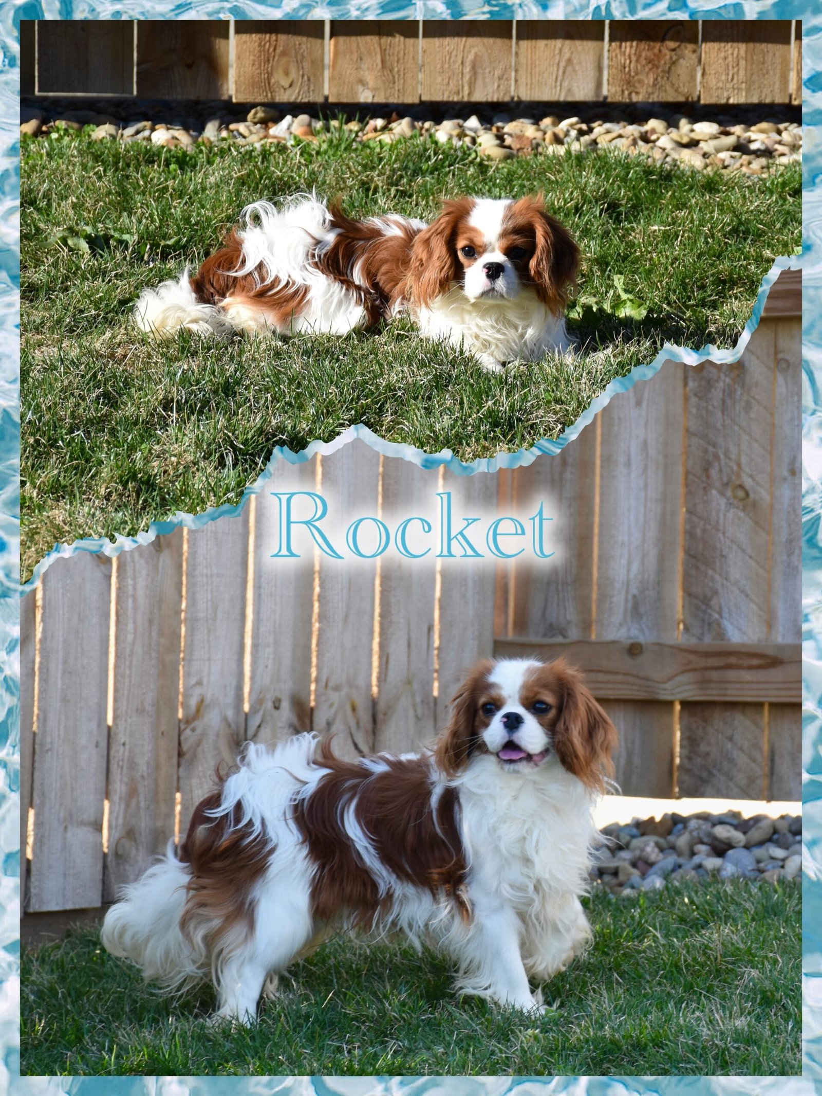 Rocket Rocket